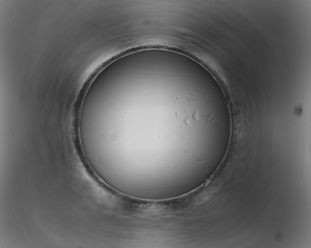 X0000116840991200912181453