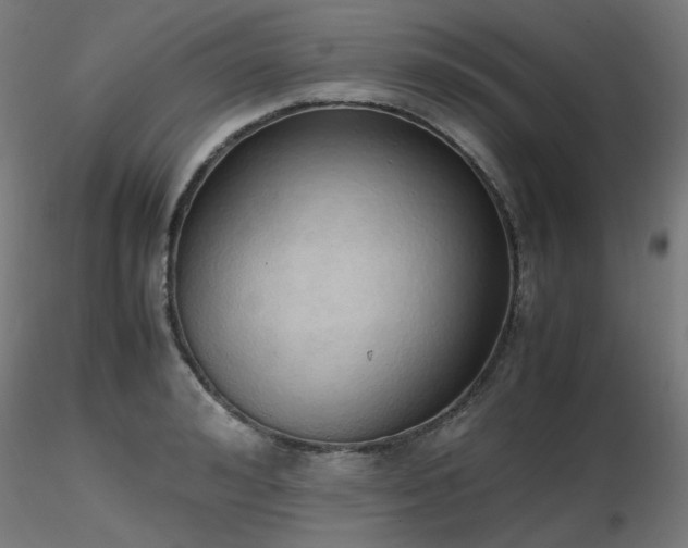 X0000116840992200912181453