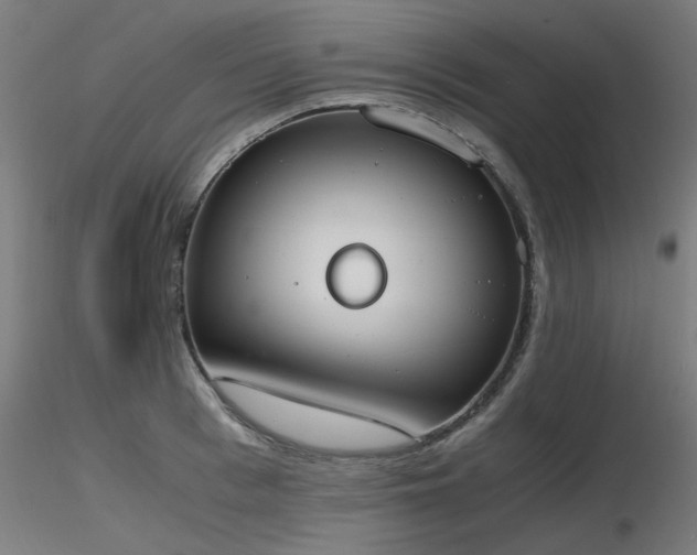 X0000116840993200912181453