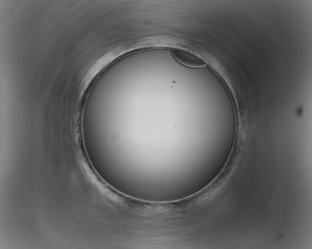 X0000116840997200912181453