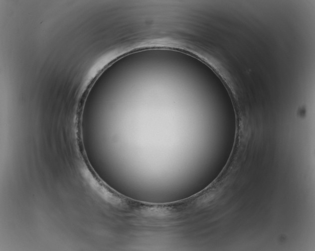 X0000116840998200912181453