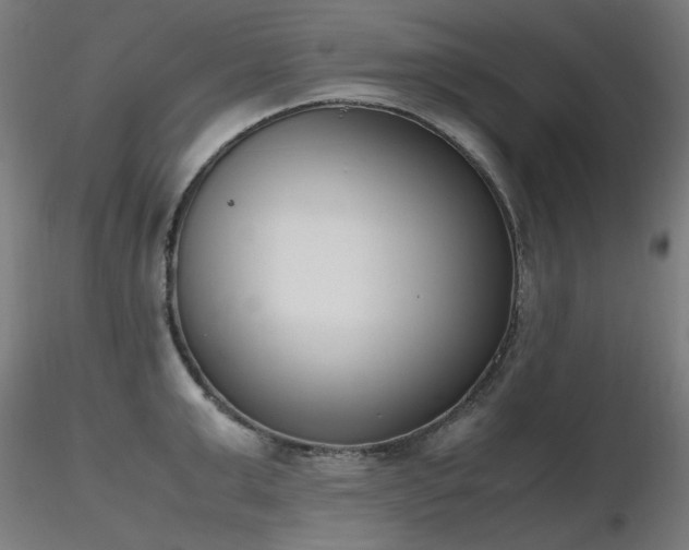 X0000116840999200912181453