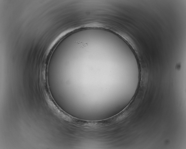 X0000116841000200912181453