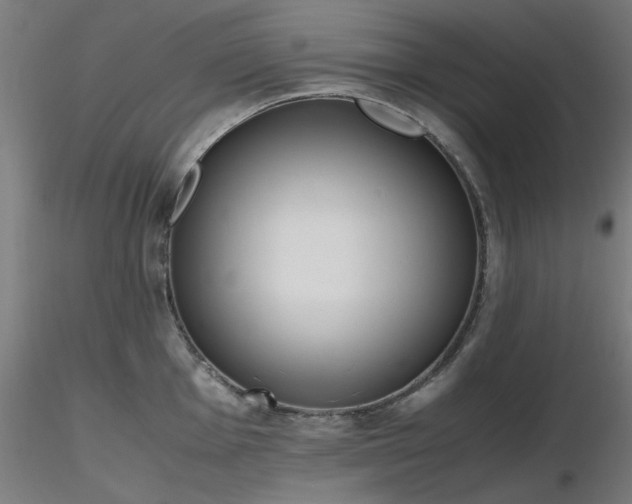 X0000116841001200912181453