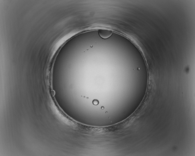 X0000116841003200912181453