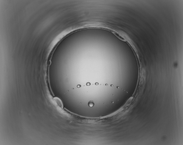 X0000116841005200912181453