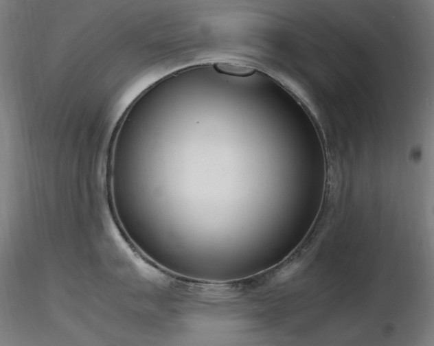 X0000116841007200912181453
