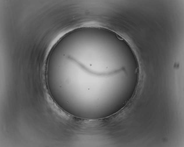 X0000116841008200912181453