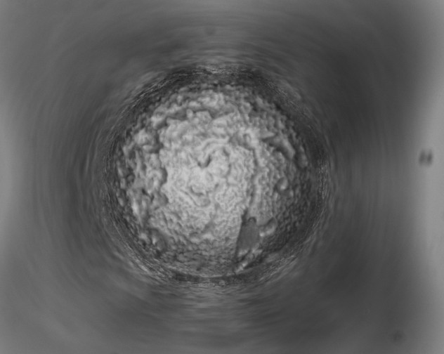 X0000116841009200912181452