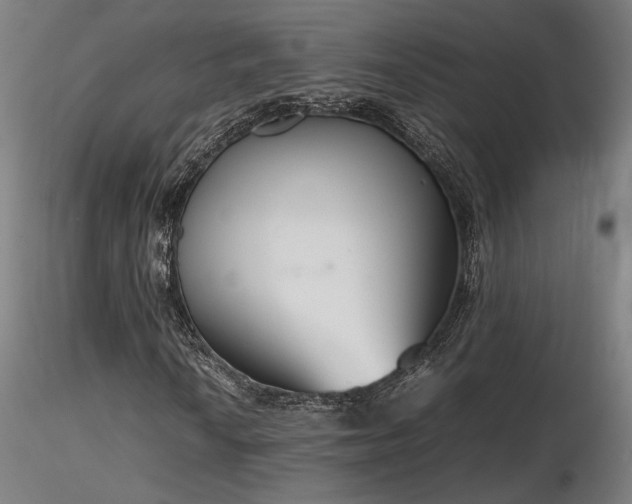 X0000116841010200912181452