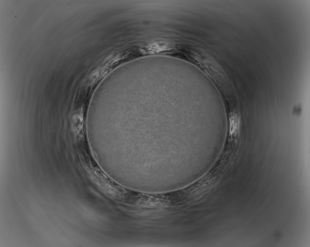 X0000116841011200912181452