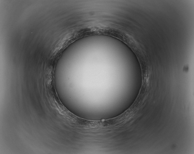X0000116841012200912181452