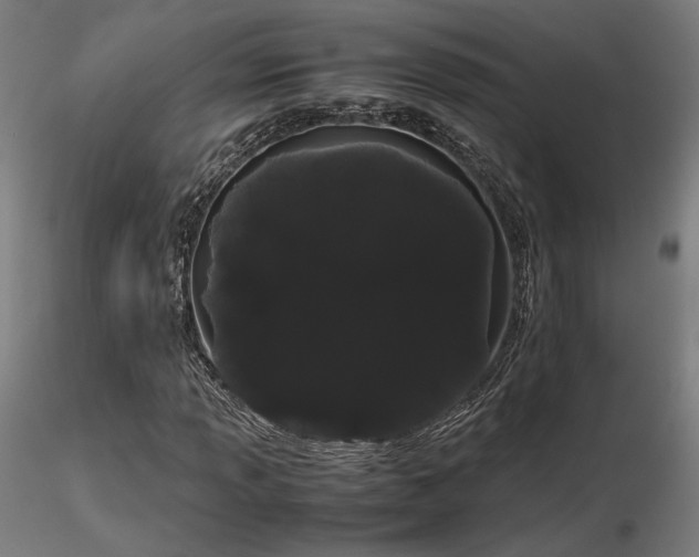X0000116841013200912181453