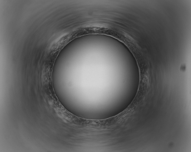 X0000116841014200912181453