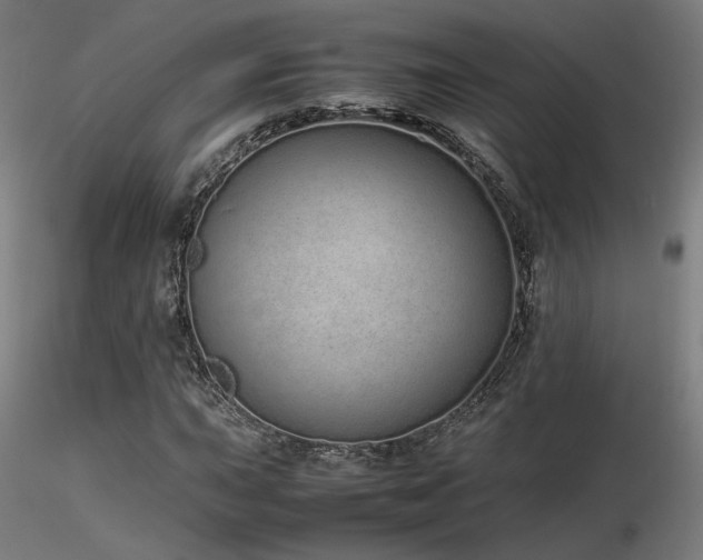 X0000116841015200912181453