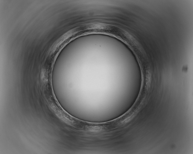 X0000116841017200912181453