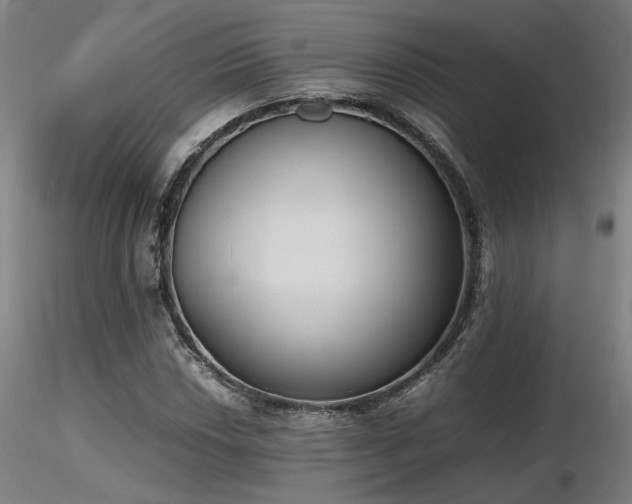 X0000116841018200912181453