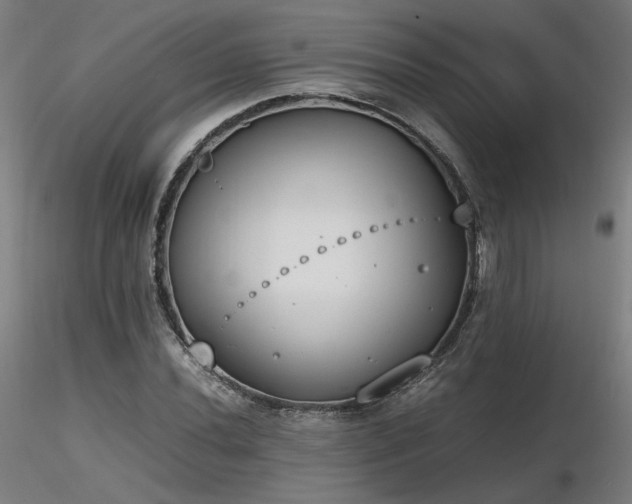 X0000116841020200912181453