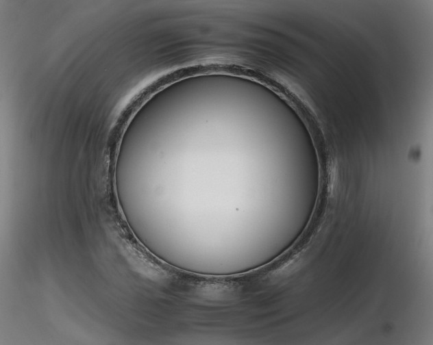 X0000116841021200912181453