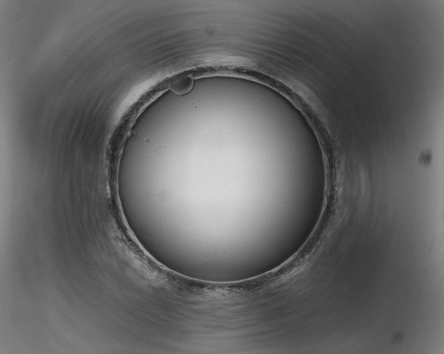 X0000116841022200912181453