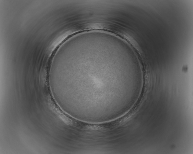 X0000116841023200912181453