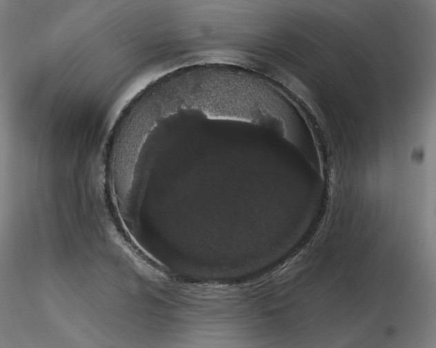 X0000116841024200912181453