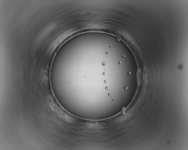 X0000116841025200912181453