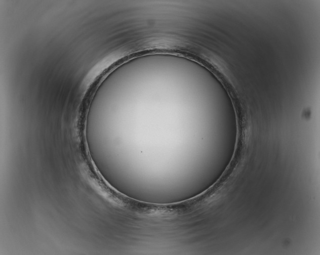 X0000116841026200912181453