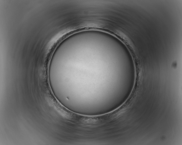 X0000116841027200912181453