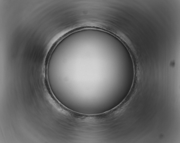 X0000116841028200912181453