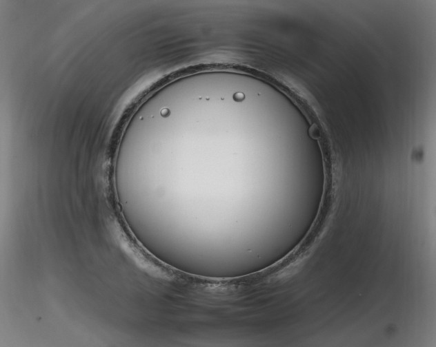 X0000116841029200912181453