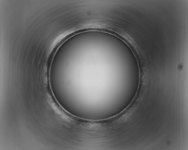 X0000116841030200912181453