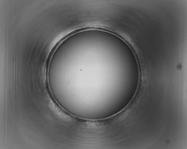 X0000116841032200912181453
