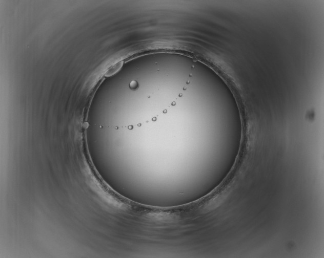 X0000116841033200912181453