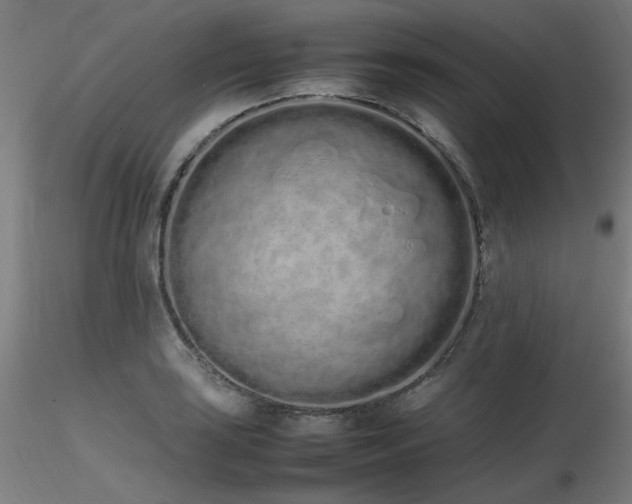 X0000116841035200912181453