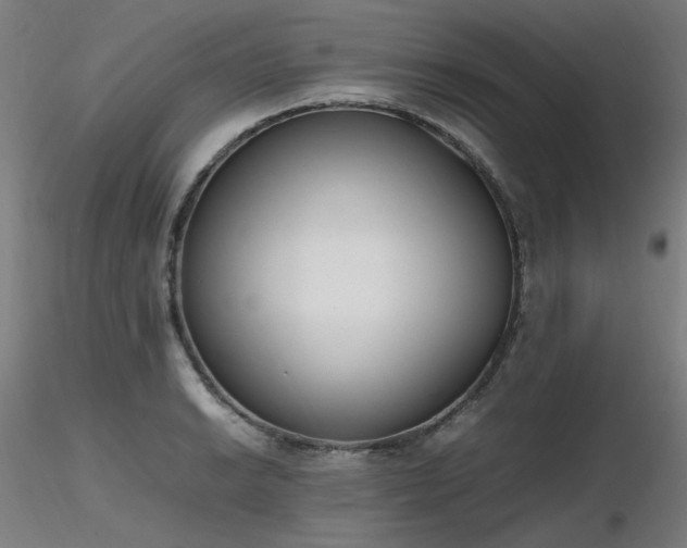 X0000116841038200912181453
