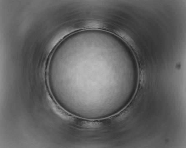 X0000116841039200912181453
