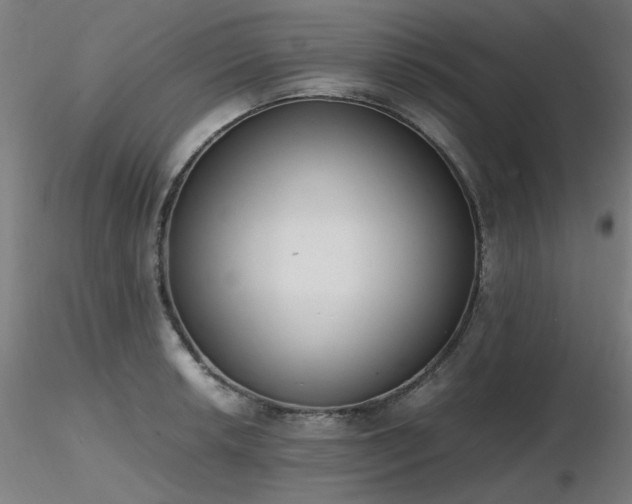 X0000116841042200912181453