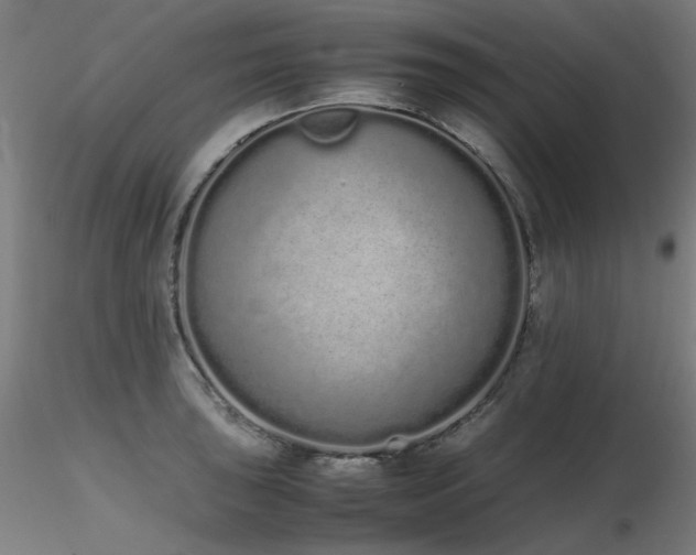 X0000116841043200912181453