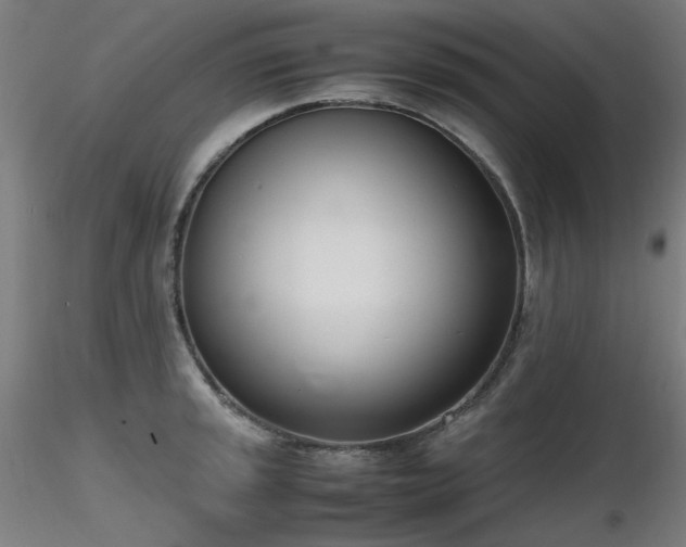 X0000116841045200912181453