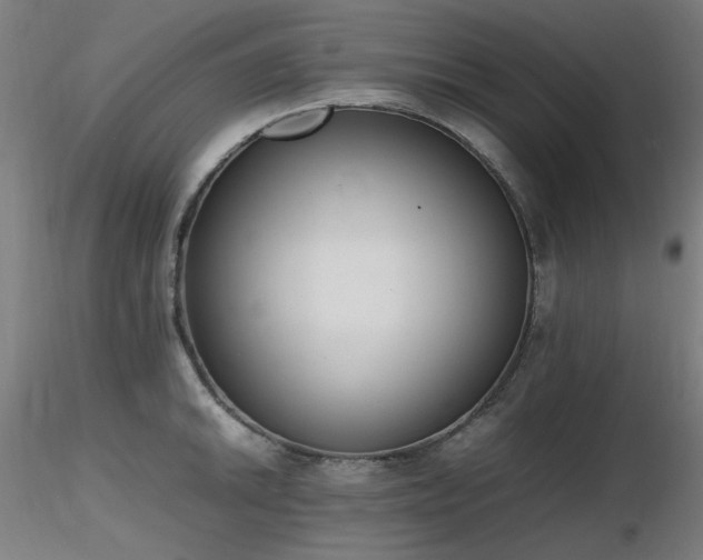 X0000116841046200912181453