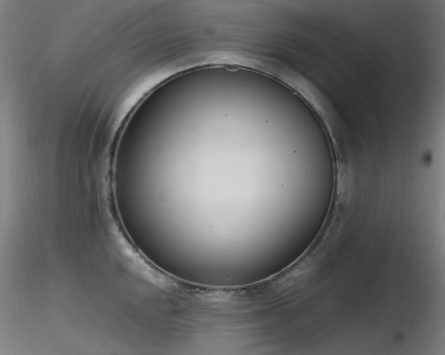 X0000116841048200912181453