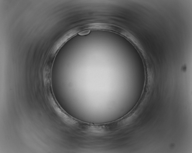 X0000116841049200912181453