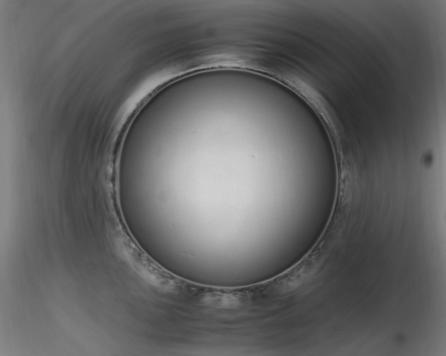 X0000116841051200912181453