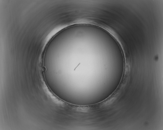 X0000116841053200912181453