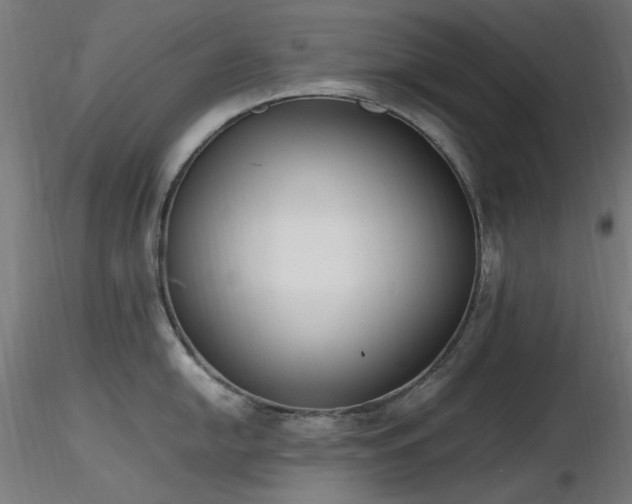 X0000116841054200912181453