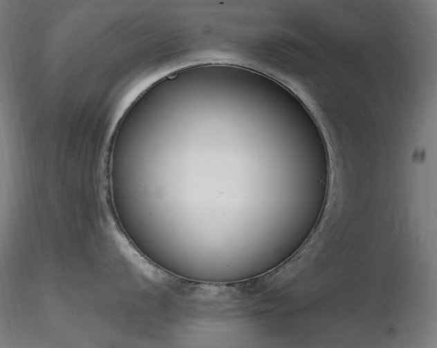 X0000116841056200912181453