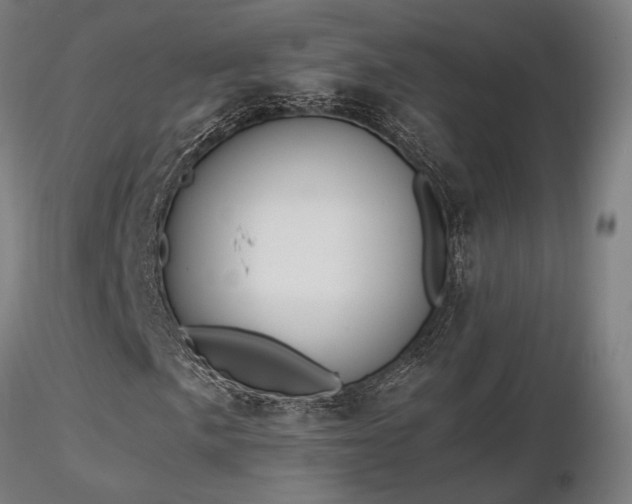 X0000116841057200912181452