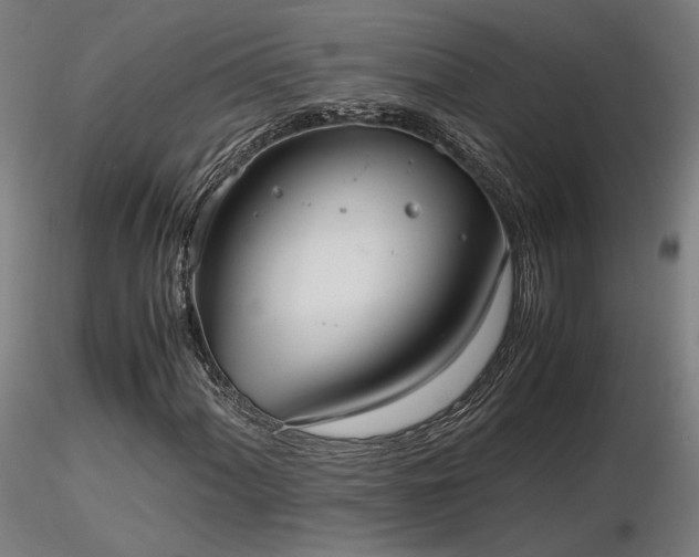 X0000116841060200912181452