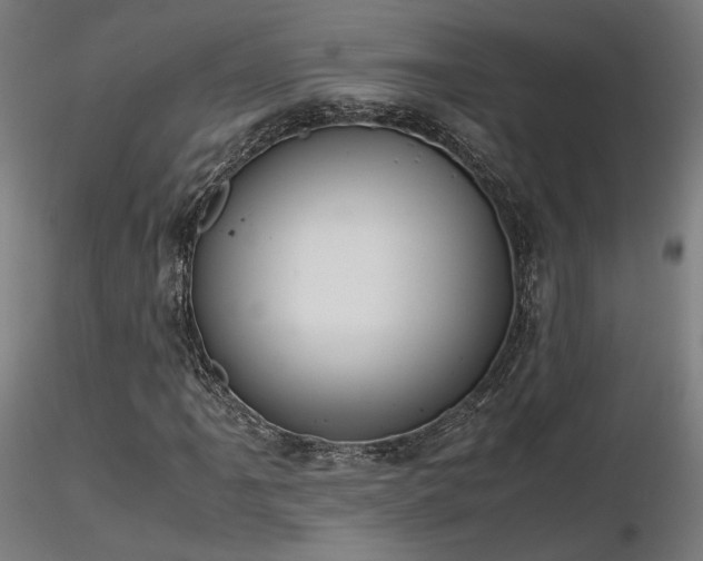 X0000116841061200912181452